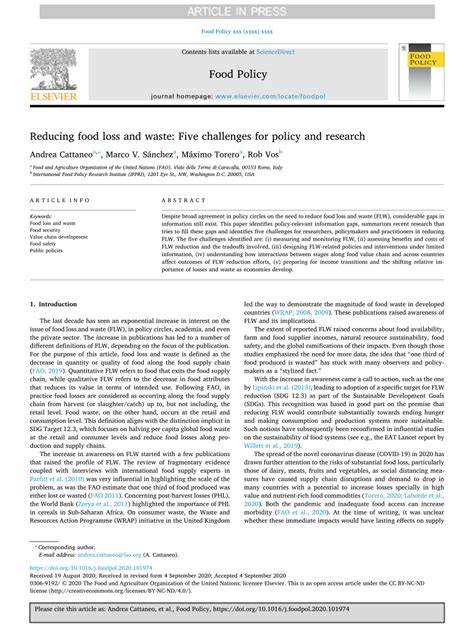 Reducing food loss and waste: Five challenges for policy and research - raincitystudios.com