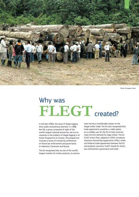 Reducing illegal logging through FLEGT - VPA ALA … - raincitystudios.com