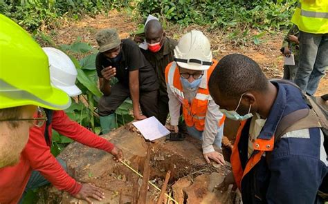 Reducing Logging Impacts in the Congo Basin - The Nature Conservancy - raincitystudios.com