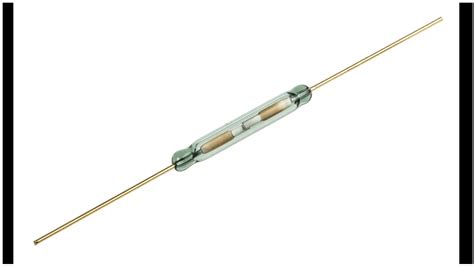 REED SWITCH SENSOR taman ML & Nude selebriti topik bokep mertua kemarin pagi untuk UMKM pelaku film casting terlaris awal pekan merasa bersemangat image 1