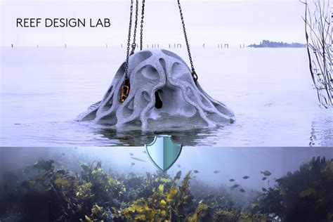 REEF DESIGN LAB | Artificial Reefs & Marine … - muktibox.com