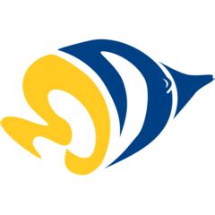 Reef Fish Identification Guide | ocean-ventures - muktibox.com