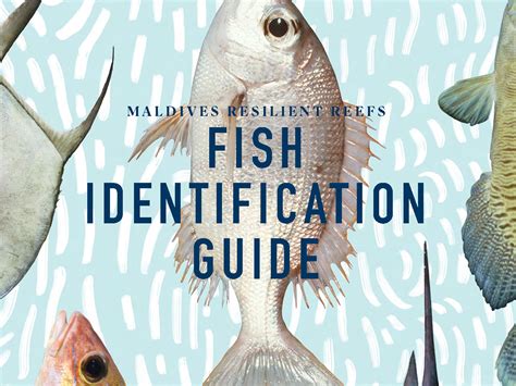 Reef Fish Manual: A Comprehensive Guide to Species Identification ... - muktibox.com