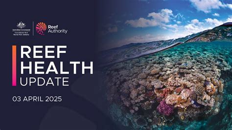 Reef health | Reef Authority - gbrmpa - wintechmobiles.com