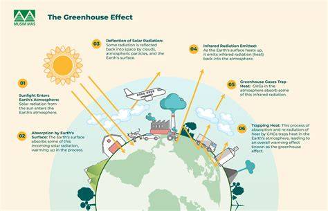 Refining greenhouse gas emission factors for … - raincitystudios.com