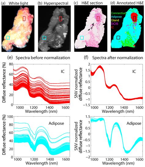Reflectance Hyperspectral Imaging for Investigation of … - wintechmobiles.com