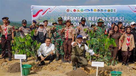 Reforestasi menuju Pemulihan Ekosistem Taman … - raincitystudios.com