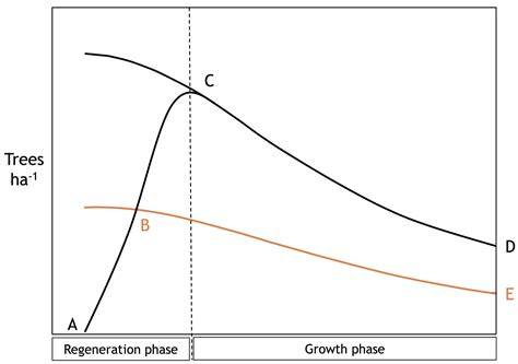 Regeneration Dynamics of Natural Forests- A Review - raincitystudios.com