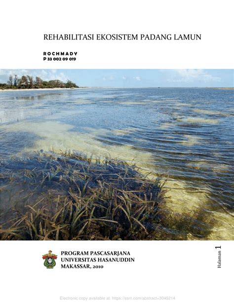 Rehabilitasi Ekosistem Padang Lamun (Rehabilitation of Seagrass ... - raincitystudios.com