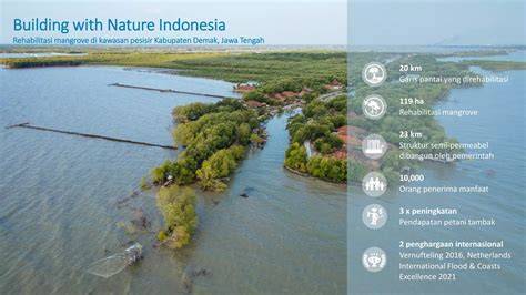 Rehabilitasi Kawasan Pesisir untuk Adaptasi Perubahan Iklim - raincitystudios.com