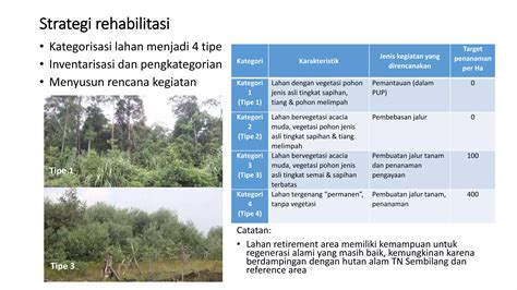 REHABILITASI LAHAN GAMBUT MELALUI PENGAYAAN JENIS DI … - raincitystudios.com