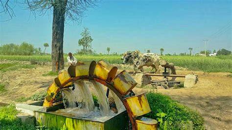 Rehat Traditional Irrigation System of Punjab | Water Wheel Irrigation ... - raincitystudios.com