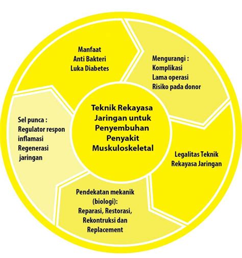 Rekayasa jaringan - Wikipedia bahasa Indonesia, ensiklopedia bebas - muktibox.com