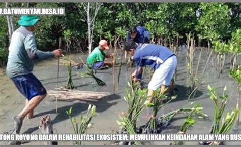 Rekayasa Silvikultur dalam Rehabilitasi Ekosistem … - raincitystudios.com