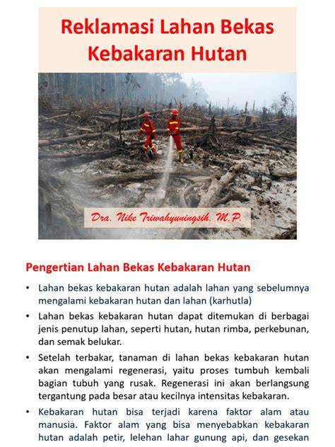 Reklamasi Lahan Bekas Kebakaran Hutan | PDF - Scribd - raincitystudios.com