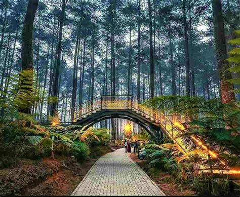 Rekomendasi 5 Objek Wisata Alam di Kabupaten Bandung - detikcom - raincitystudios.com