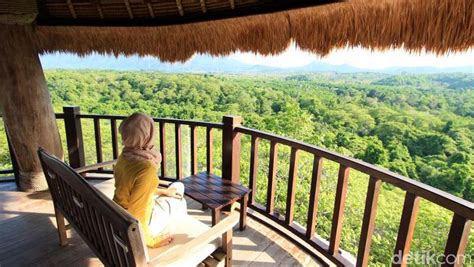 Rekomendasi Hutan di Bali yang Indah - detikcom - raincitystudios.com
