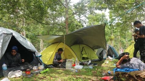 Rekomendasi Perlengkapan Kemping untuk Pemula - wintechmobiles.com