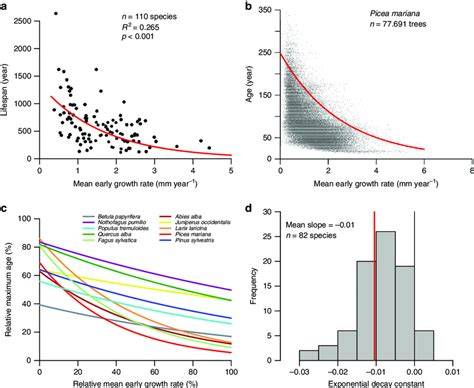 Relationship between growth rate and growth stresses in Paraserianthes ... - raincitystudios.com