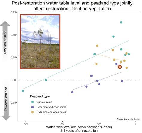 Relationship between hydrological restoration and the recovery of ... - raincitystudios.com