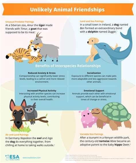 Relationships Between Animals - Chaparral … - muktibox.com