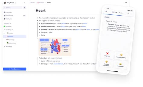RemNote | Flashcards, Study Guides & Class Notes - muktibox.com
