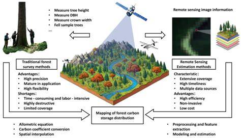 Remote Sensing and Forest Carbon Monitoring—a Review of Recent Progress ... - raincitystudios.com
