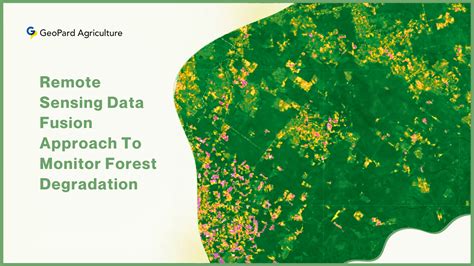 Remote Sensing Data Fusion Approach To Monitor Forest … - raincitystudios.com