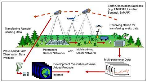 Remote sensing in forest mapping, monitoring and … - raincitystudios.com