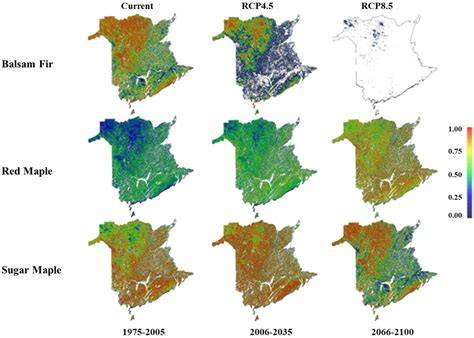 Remote sensing of balsam fir forest vigor – NEFIS - raincitystudios.com