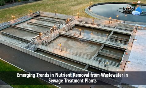 Removal and recovery of nutrients from municipal sewage: Algal vs ... - raincitystudios.com
