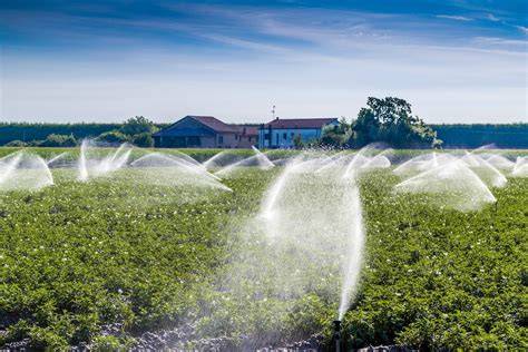 Removing Drugs from Wastewater for Irrigation - raincitystudios.com