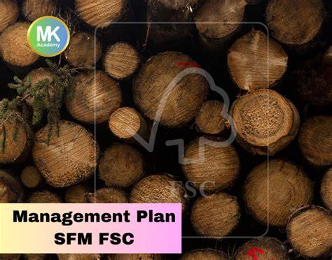 Rencana Manajemen SFM FSC - LinkedIn Indonesia - raincitystudios.com