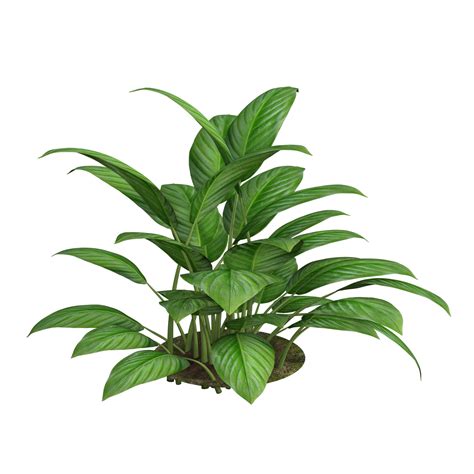 Render plants with depth color and realistic detail | Watch - MSN - muktibox.com