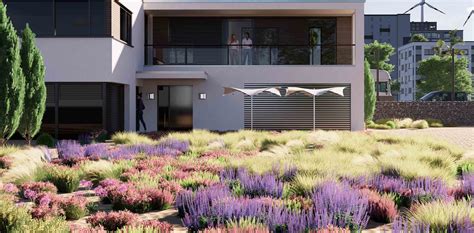 Rendering Potrait Enscape - muktibox.com