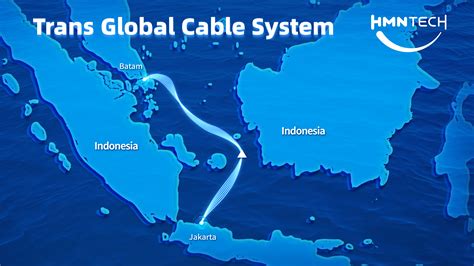 Repeatered Submarine Network System - Wuhan FiberHome … - wintechmobiles.com