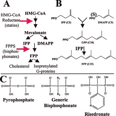 REPLACED BY FPPSTD-2