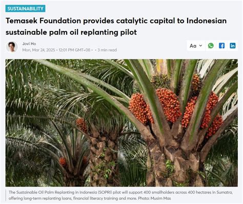 Replanting as a Strategic Foundation for Sustainable Palm Oil - wintechmobiles.com