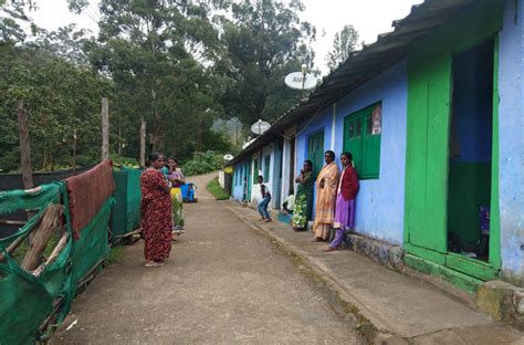 REPLUG: Travails of Tamil migrant labourers in Munnar’s tea …