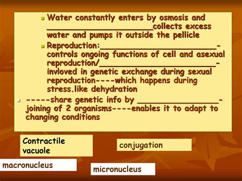 REPRODUCTION PUMPS - Gas Pump Heaven - muktibox.com
