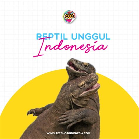 Reptil - Wikipedia bahasa Indonesia, ensiklopedia bebas - muktibox.com