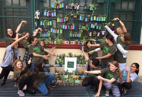 Repurposing Cartons | PlantCarton Life - raincitystudios.com