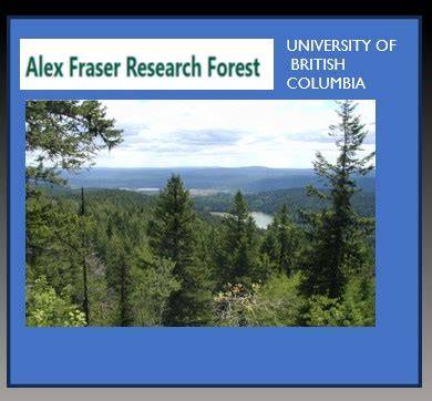 Research | Alex Fraser Research Forest - raincitystudios.com