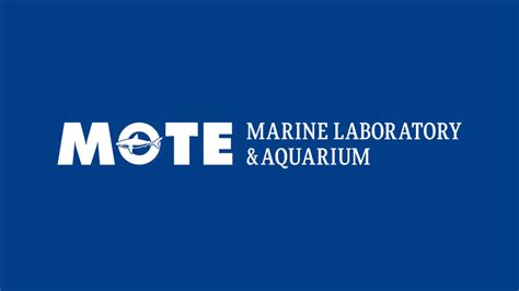 Research | Mote Marine Laboratory & Aquarium - raincitystudios.com