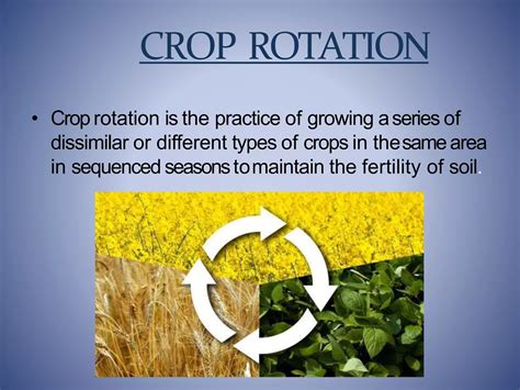 RESEARCH ARTICLE Effects of croprotation system on soil fertility ... - muktibox.com