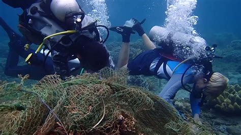 Research Internships in Marine Conservation (Philippines) - raincitystudios.com