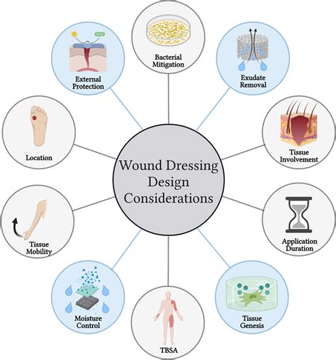 Research on the Dressing & Preservation of Leather - muktibox.com