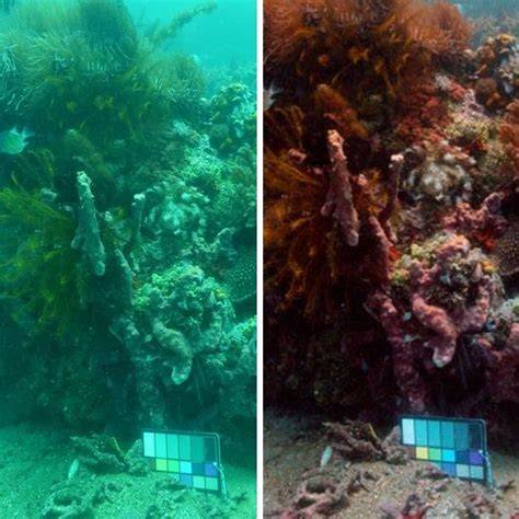 Researchers Create Algorithm That Can Erase Water … - raincitystudios.com