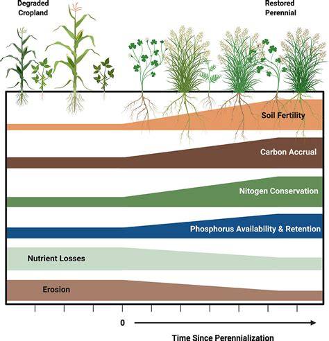 Reseeding increased plant biomass production and soil fertility, but ... - raincitystudios.com