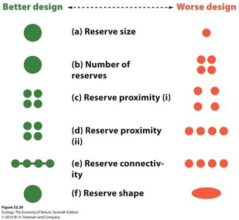 Reserve Design Flashcards | Quizlet - raincitystudios.com